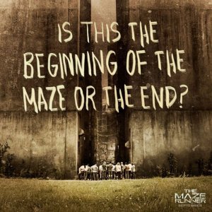 Movie-Quotes-the-maze-runner-film-37106017-800-800